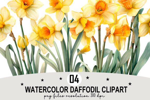 Watercolor Daffodil Clipart: A Versatile Resource for Creative Projects